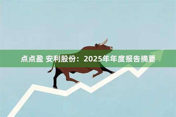 点点盈 安利股份:2025年年度报告摘要